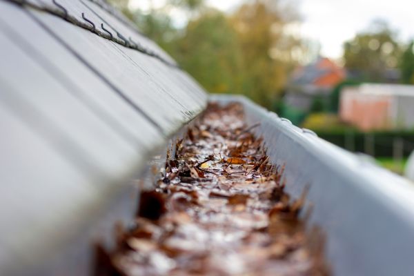 Commercial Gutter Cleaning in Richardson