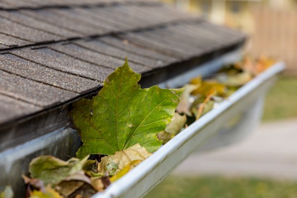 Commercial Downspout Cleaning in Richardson