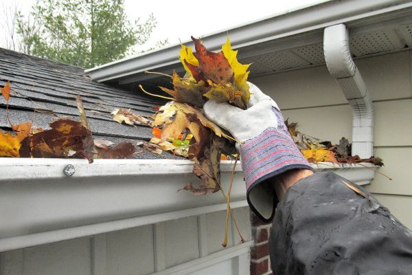 House Gutter Cleaning in Richardson