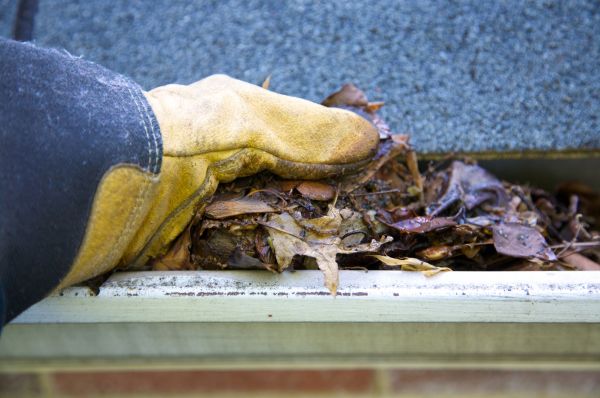 Jammed Gutter Cleaning in Richardson