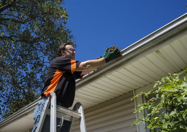 Eavestrough Clearing in Richardson