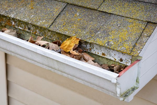 Garage Gutter Cleaning in Richardson