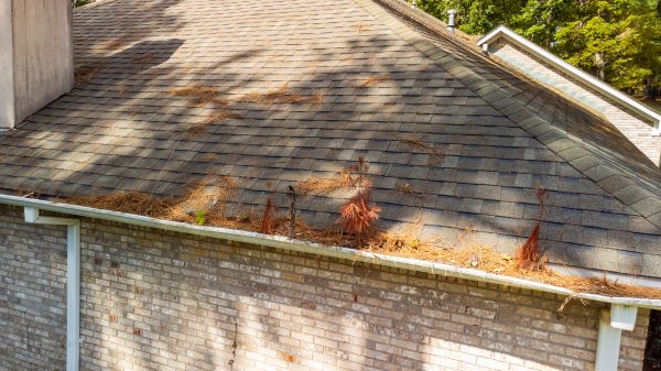 Gutter Pine Needle Removal in Richardson
