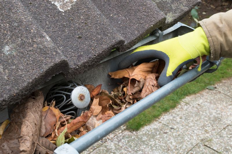 Professional Gutter Cleaning