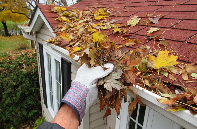 Rain Gutter Clearing
